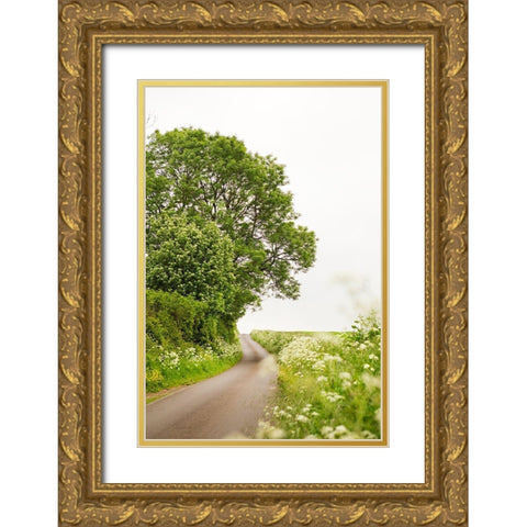 Winding Floral Lined Road Gold Ornate Wood Framed Art Print with Double Matting by Millet, Karyn