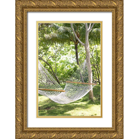 Tropical Siesta Gold Ornate Wood Framed Art Print with Double Matting by Millet, Karyn