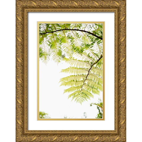 Sunlit Tropical Silhouette I Gold Ornate Wood Framed Art Print with Double Matting by Millet, Karyn