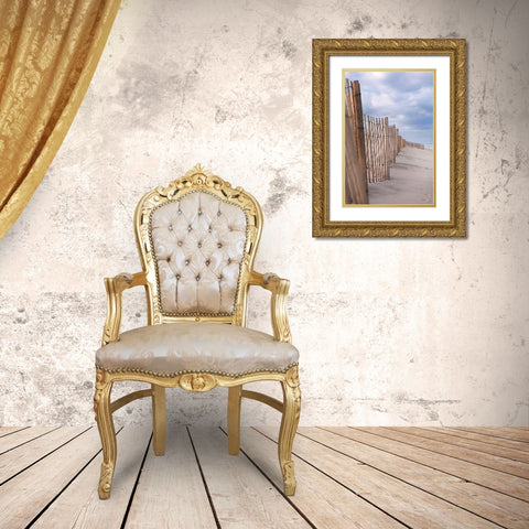 Coastal Fences Gold Ornate Wood Framed Art Print with Double Matting by Millet, Karyn