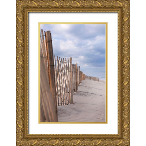 Coastal Fences Gold Ornate Wood Framed Art Print with Double Matting by Millet, Karyn