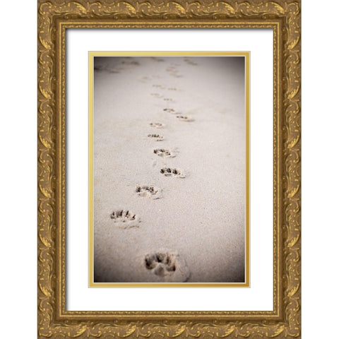 Paw Prints In Sand Gold Ornate Wood Framed Art Print with Double Matting by Millet, Karyn