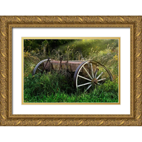 Abandoned Farm Equipment Gold Ornate Wood Framed Art Print with Double Matting by McNemar, C. Thomas