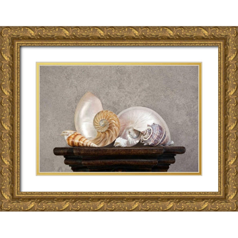 Seashell Still Life I Gold Ornate Wood Framed Art Print with Double Matting by McNemar, C. Thomas