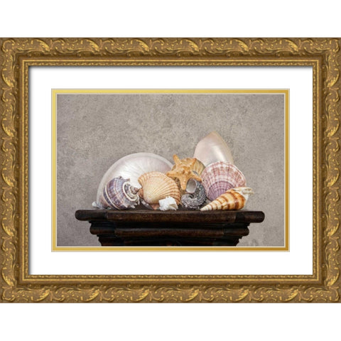 Seashell Still Life II Gold Ornate Wood Framed Art Print with Double Matting by McNemar, C. Thomas