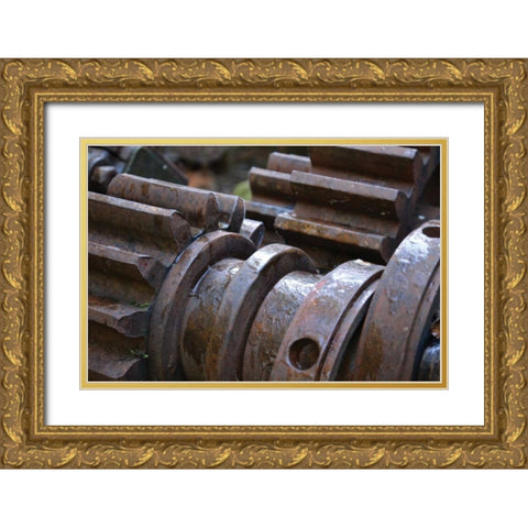 Gears I Gold Ornate Wood Framed Art Print with Double Matting by Moore, Brian