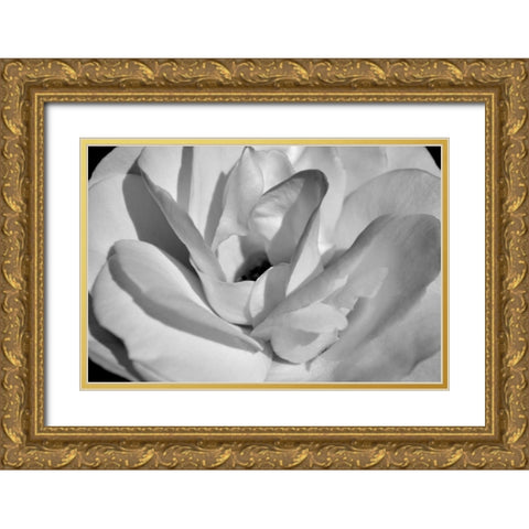Macro Flower I Gold Ornate Wood Framed Art Print with Double Matting by Moore, Brian