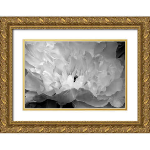 Macro Flower II Gold Ornate Wood Framed Art Print with Double Matting by Moore, Brian