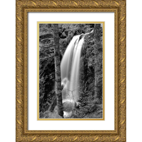 Waterfall I Gold Ornate Wood Framed Art Print with Double Matting by Moore, Brian