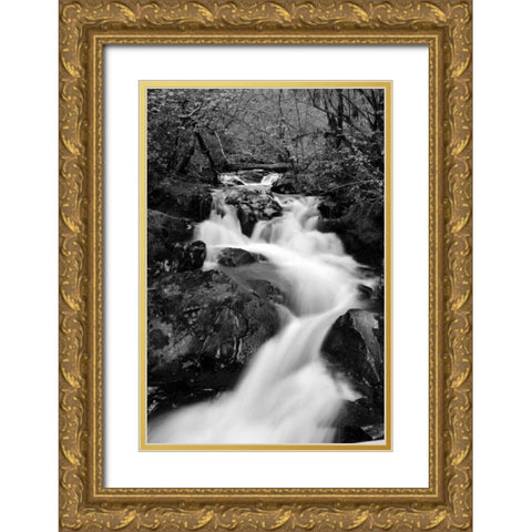 Waterfall II Gold Ornate Wood Framed Art Print with Double Matting by Moore, Brian