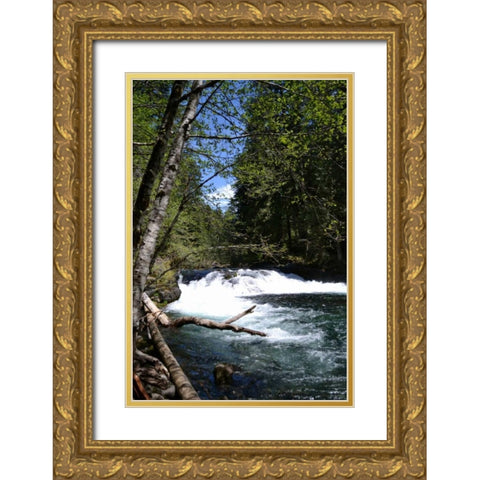 Rapids II Gold Ornate Wood Framed Art Print with Double Matting by Moore, Brian