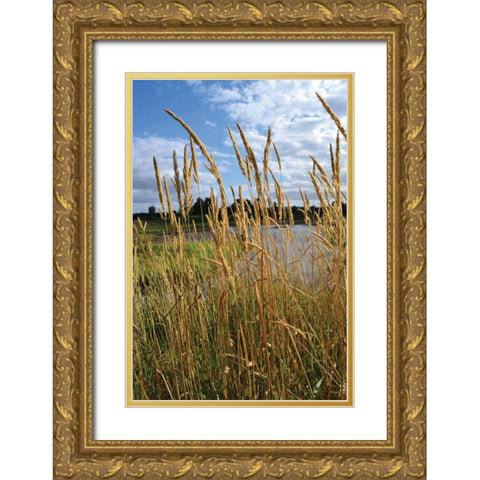 Through the Grass I Gold Ornate Wood Framed Art Print with Double Matting by Moore, Brian
