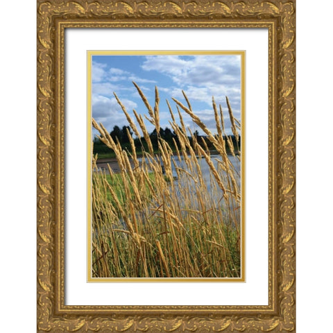 Through the Grass II Gold Ornate Wood Framed Art Print with Double Matting by Moore, Brian