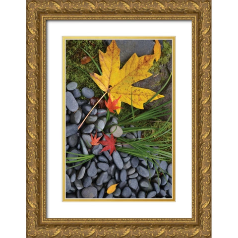 Maple Leaves II Gold Ornate Wood Framed Art Print with Double Matting by Moore, Brian