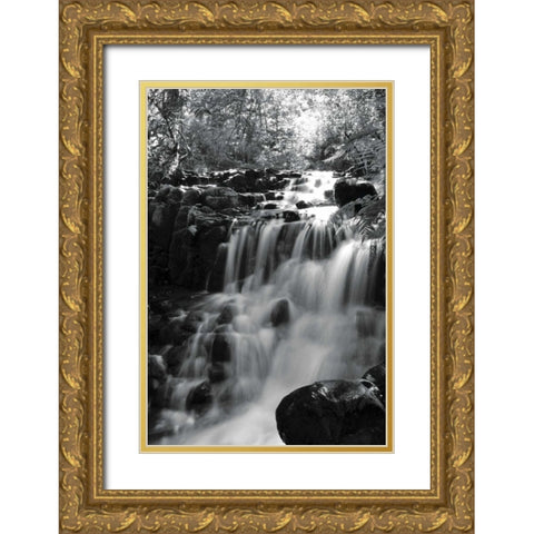 BW Falls in the Forest III Gold Ornate Wood Framed Art Print with Double Matting by Moore, Brian
