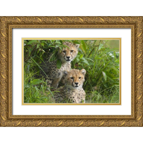 Concealed Gold Ornate Wood Framed Art Print with Double Matting by Parker, Susann