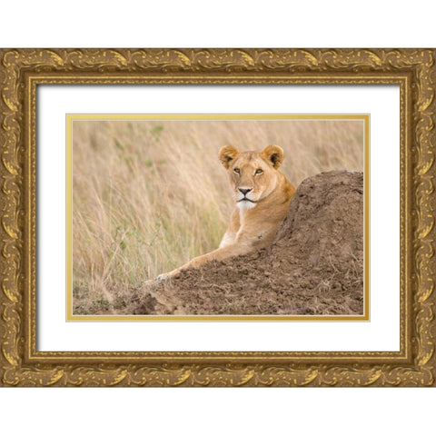 Vantage Point Gold Ornate Wood Framed Art Print with Double Matting by Parker, Susann