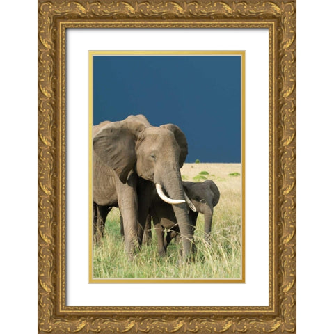 Protection Gold Ornate Wood Framed Art Print with Double Matting by Parker, Susann