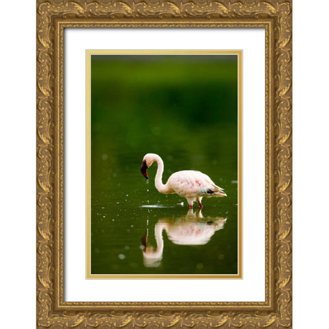 Pink Reflection Gold Ornate Wood Framed Art Print with Double Matting by Parker, Susann