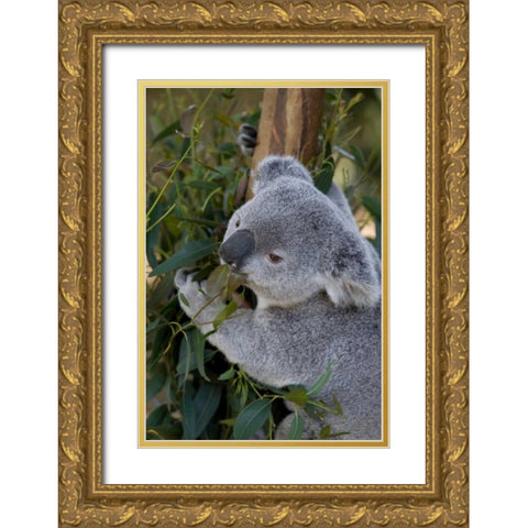 The Amiable Gold Ornate Wood Framed Art Print with Double Matting by Parker, Susann