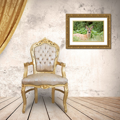 Auspicious Gold Ornate Wood Framed Art Print with Double Matting by Parker, Susann