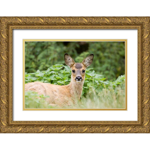 Auspicious Gold Ornate Wood Framed Art Print with Double Matting by Parker, Susann