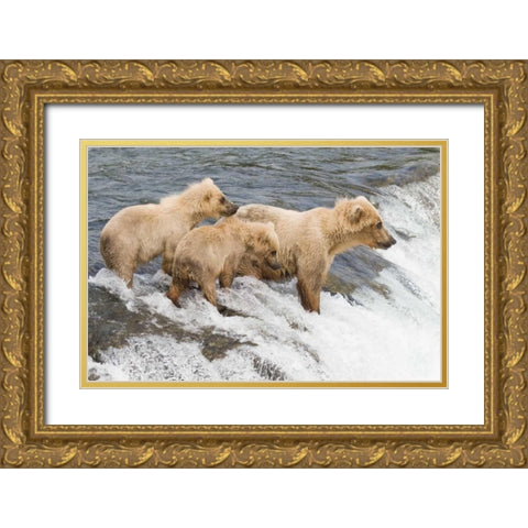 Day at the Falls Gold Ornate Wood Framed Art Print with Double Matting by Parker, Susann
