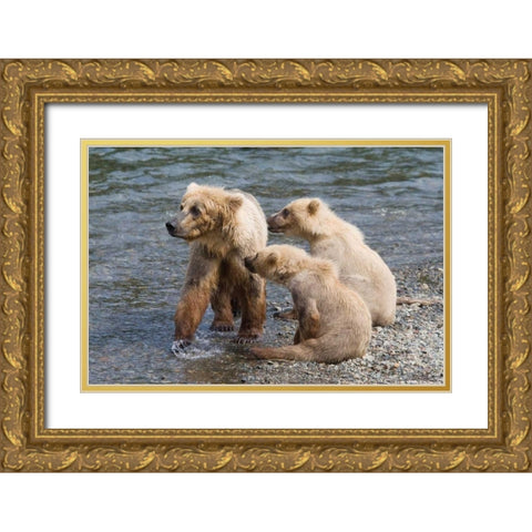 Training Day Gold Ornate Wood Framed Art Print with Double Matting by Parker, Susann