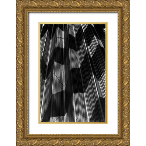 Shadow I Gold Ornate Wood Framed Art Print with Double Matting by Peterson, Lee