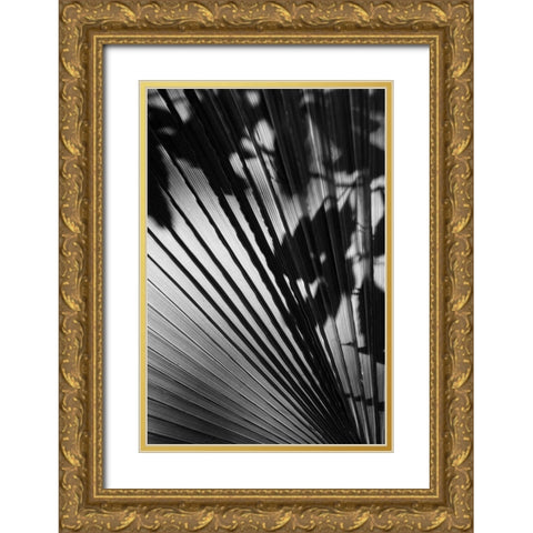 Shadow II Gold Ornate Wood Framed Art Print with Double Matting by Peterson, Lee