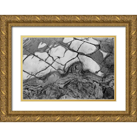 Texture I Gold Ornate Wood Framed Art Print with Double Matting by Peterson, Lee