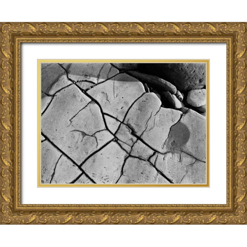 Texture II Gold Ornate Wood Framed Art Print with Double Matting by Peterson, Lee