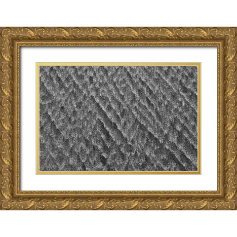 Texture III Gold Ornate Wood Framed Art Print with Double Matting by Peterson, Lee