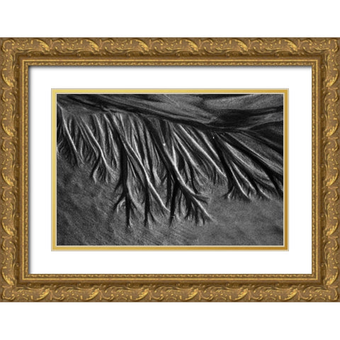 Texture Sand II Gold Ornate Wood Framed Art Print with Double Matting by Peterson, Lee