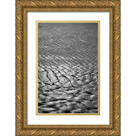 Texture Sand IV Gold Ornate Wood Framed Art Print with Double Matting by Peterson, Lee