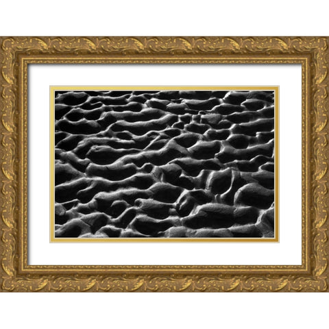 Texture Sand VII Gold Ornate Wood Framed Art Print with Double Matting by Peterson, Lee