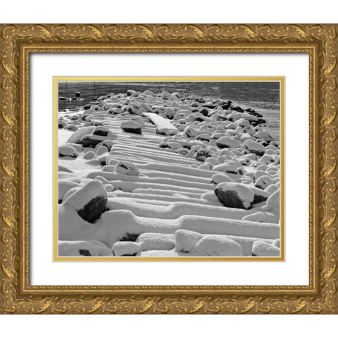 Tahoe Snow I Gold Ornate Wood Framed Art Print with Double Matting by Peterson, Lee