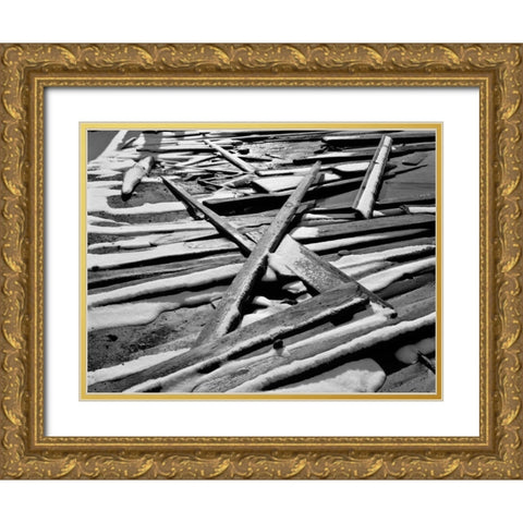 Tahoe Snow II Gold Ornate Wood Framed Art Print with Double Matting by Peterson, Lee