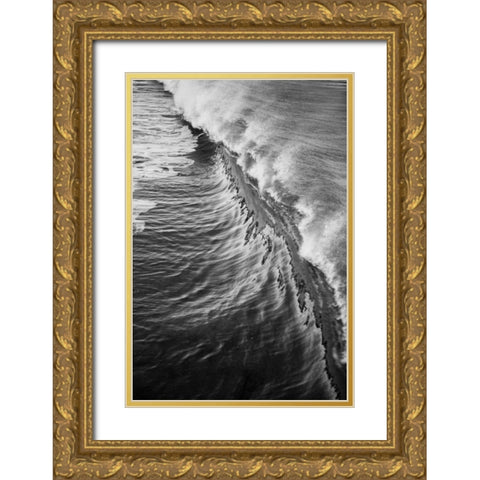 Wave III Gold Ornate Wood Framed Art Print with Double Matting by Peterson, Lee