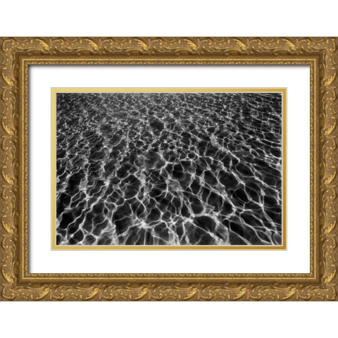 Underwater I Gold Ornate Wood Framed Art Print with Double Matting by Peterson, Lee