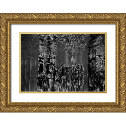 Pier Pilings II Gold Ornate Wood Framed Art Print with Double Matting by Peterson, Lee