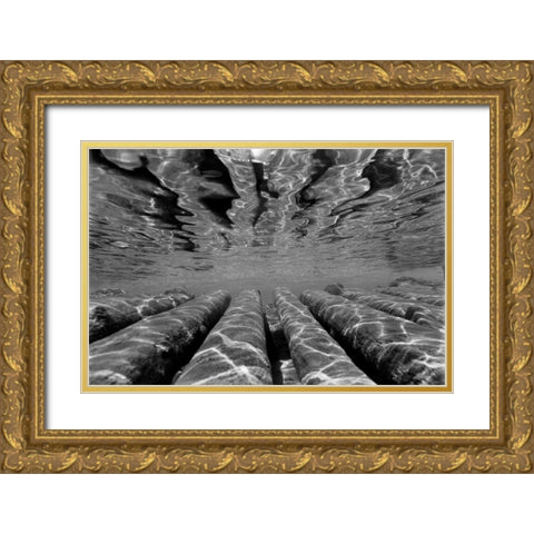 Pier Pilings III Gold Ornate Wood Framed Art Print with Double Matting by Peterson, Lee