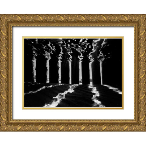 Pier Pilings IV Gold Ornate Wood Framed Art Print with Double Matting by Peterson, Lee