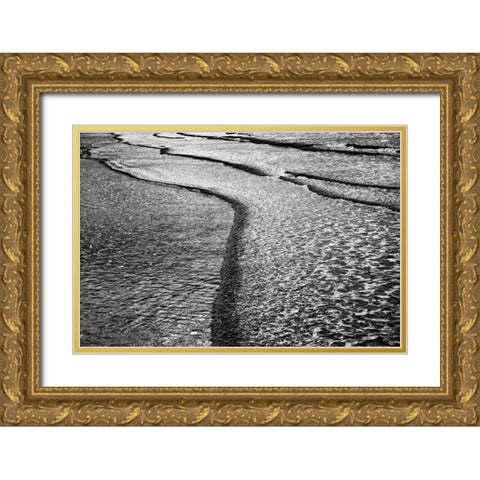 Beach Reflection III Gold Ornate Wood Framed Art Print with Double Matting by Peterson, Lee