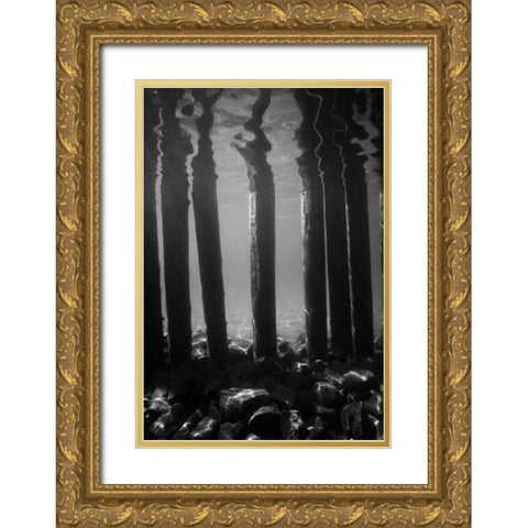 Pier Pilings V Gold Ornate Wood Framed Art Print with Double Matting by Peterson, Lee