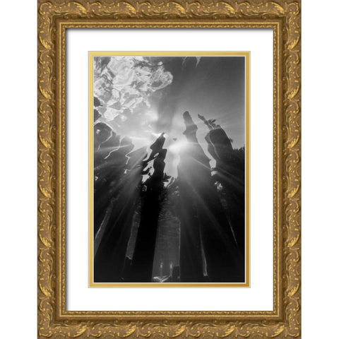 Pier Pilings VI Gold Ornate Wood Framed Art Print with Double Matting by Peterson, Lee