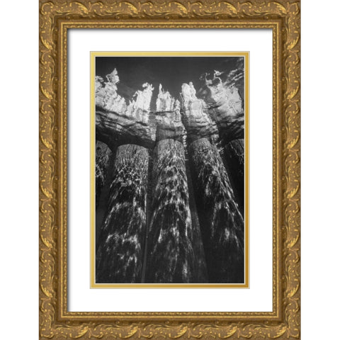 Pier Pilings VII Gold Ornate Wood Framed Art Print with Double Matting by Peterson, Lee