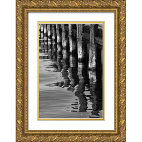 Pier Pilings VIII Gold Ornate Wood Framed Art Print with Double Matting by Peterson, Lee