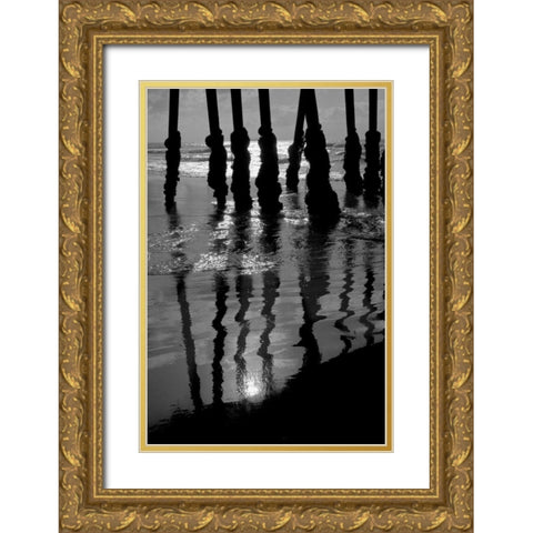 Pier Pilings IX Gold Ornate Wood Framed Art Print with Double Matting by Peterson, Lee