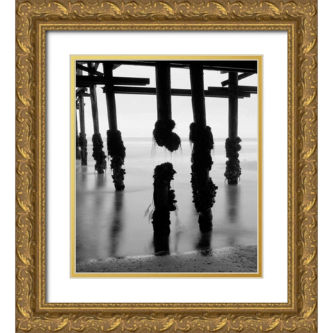 Pier Pilings X Gold Ornate Wood Framed Art Print with Double Matting by Peterson, Lee